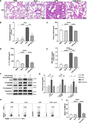 Alpha-linolenic acid pretreatment alleviates NETs-induced alveolar macrophage pyroptosis by inhibiting pyrin inflammasome activation in a mouse model of sepsis-induced ALI/ARDS